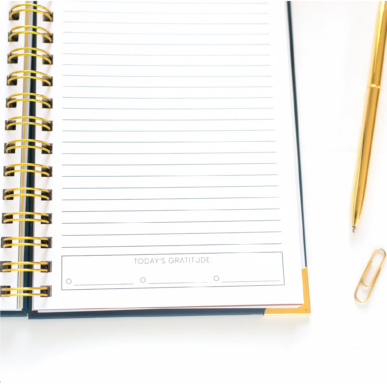 The Prayer Journal for Women
