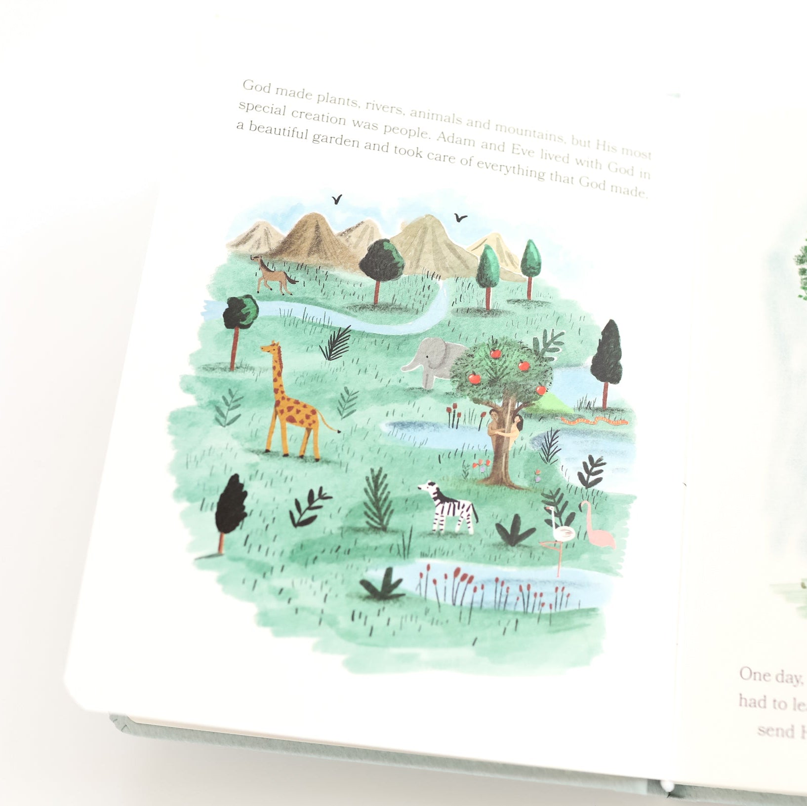 Bible Stories For Little Ones: Baby's First Bible Board Book