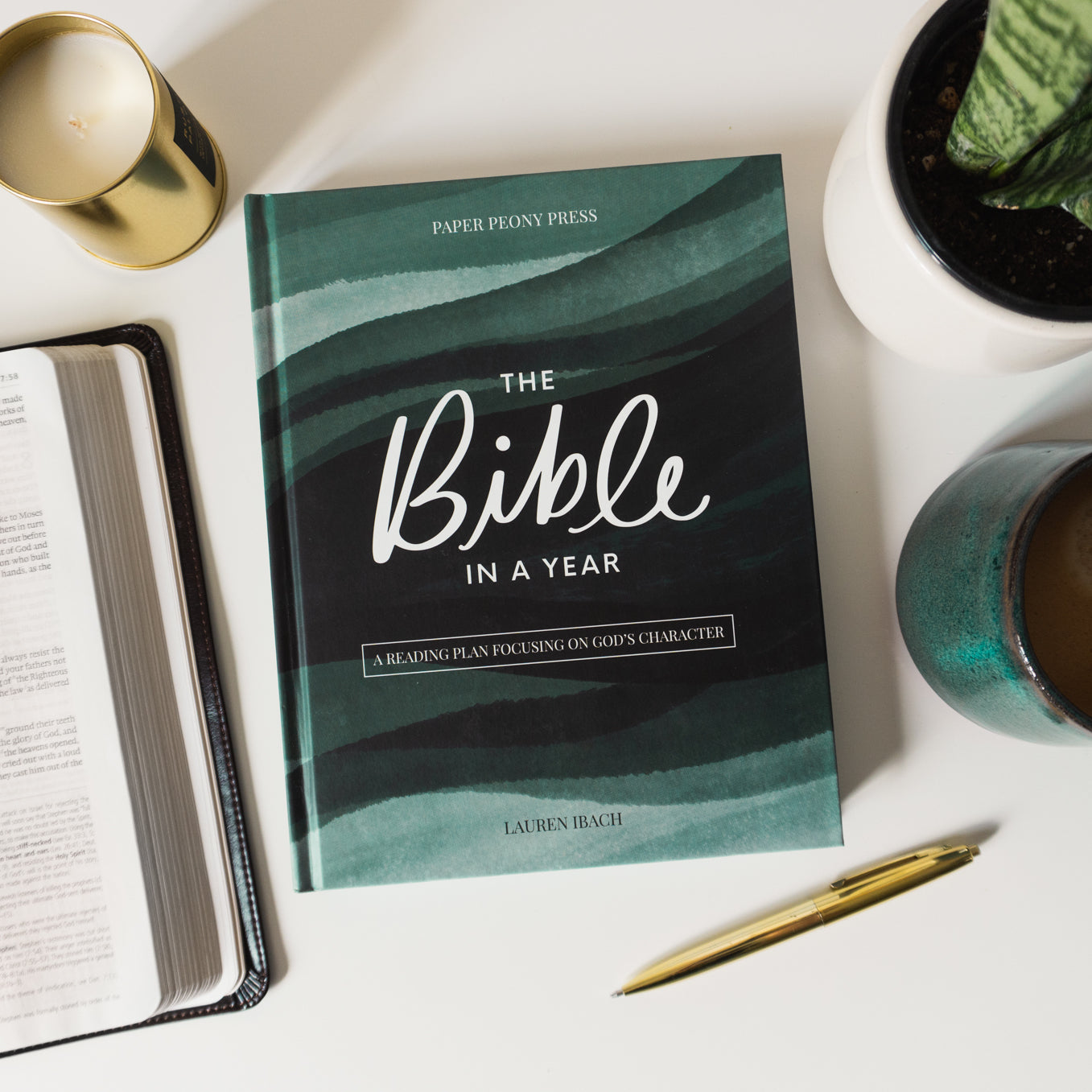 The Bible in a Year